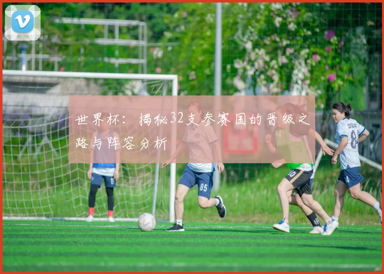 世界杯：揭秘32支参赛国的晋级之路与阵容分析