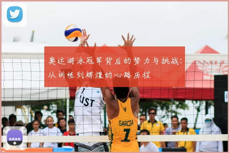 奥运游泳冠军背后的努力与挑战：从训练到辉煌的心路历程