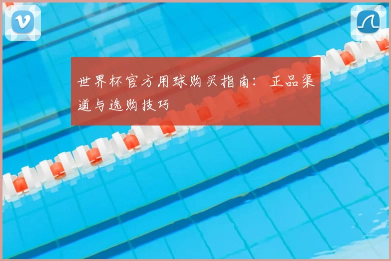 世界杯官方用球购买指南:正品渠道与选购技巧