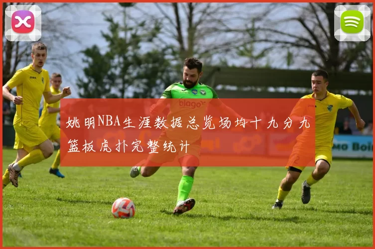 姚明NBA生涯数据总览场均十九分九篮板虎扑完整统计