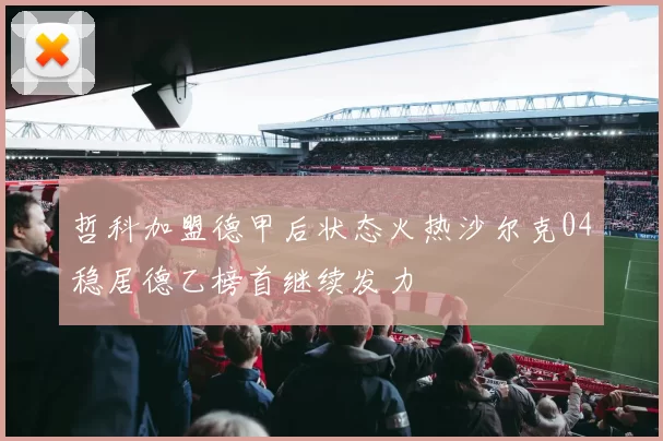 哲科加盟德甲后状态火热沙尔克04稳居德乙榜首继续发力