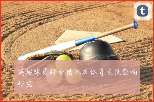 英超球员转会情况及体育竞技影响研究