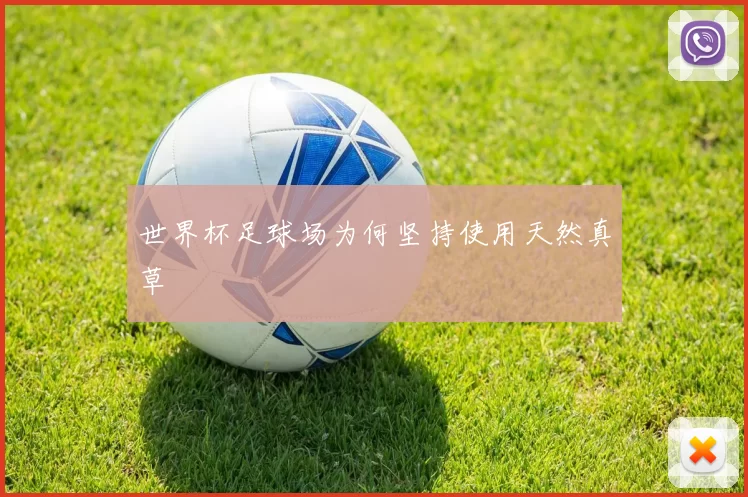 世界杯足球场为何坚持使用天然真草