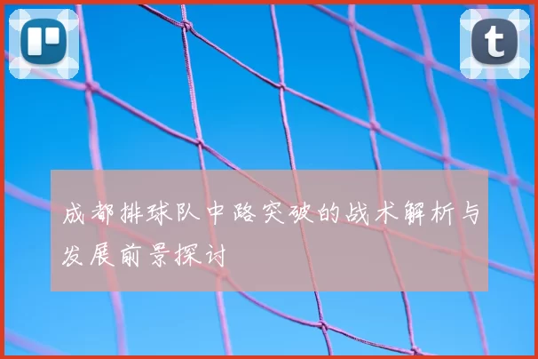 成都排球队中路突破的战术解析与发展前景探讨