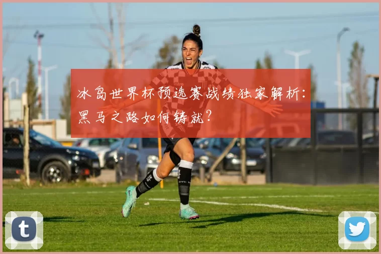 冰岛世界杯预选赛战绩独家解析:黑马之路如何铸就?
