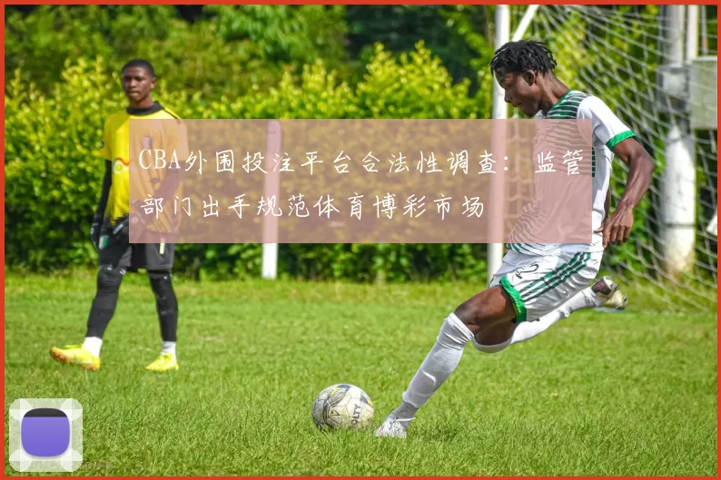 CBA外围投注平台合法性调查：监管部门出手规范体育博彩市场