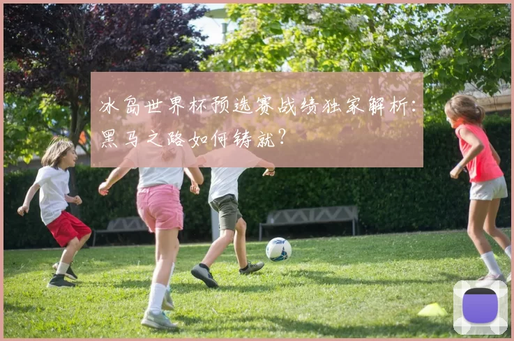 冰岛世界杯预选赛战绩独家解析:黑马之路如何铸就?
