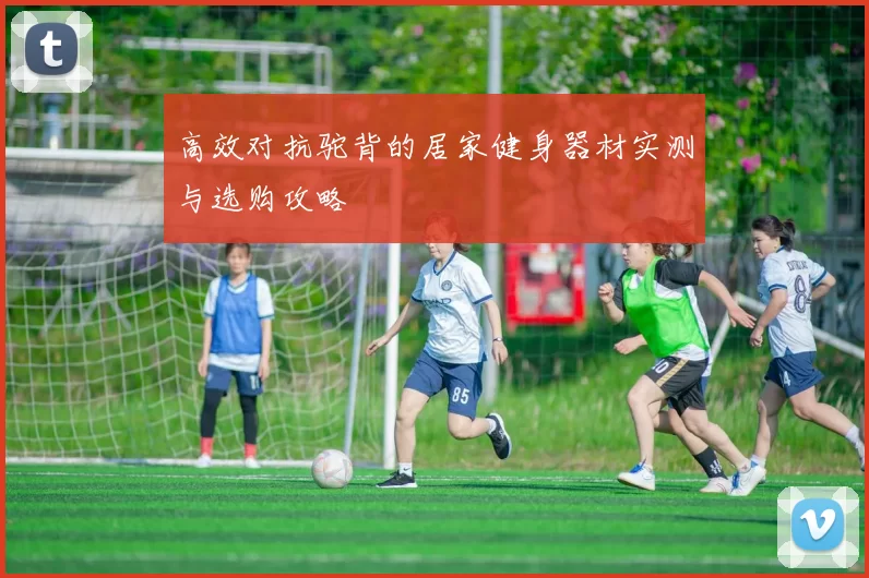 高效对抗驼背的居家健身器材实测与选购攻略