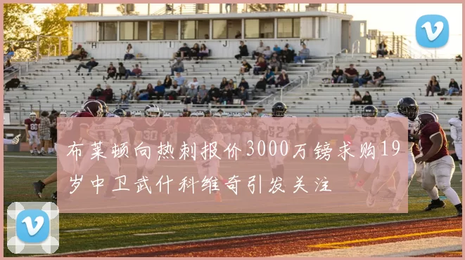 布莱顿向热刺报价3000万镑求购19岁中卫武什科维奇引发关注