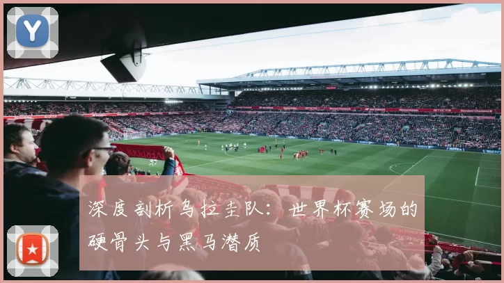 深度剖析乌拉圭队:世界杯赛场的硬骨头与黑马潜质